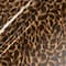 Siser® EasyPatterns® Plus Tortoise Shell Heat Transfer Vinyl